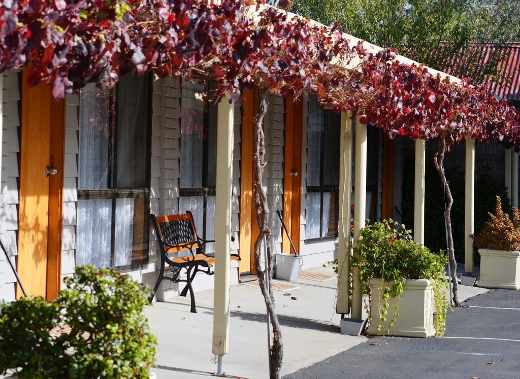 Country Roads Motor Inn Наракорт Екстериор снимка