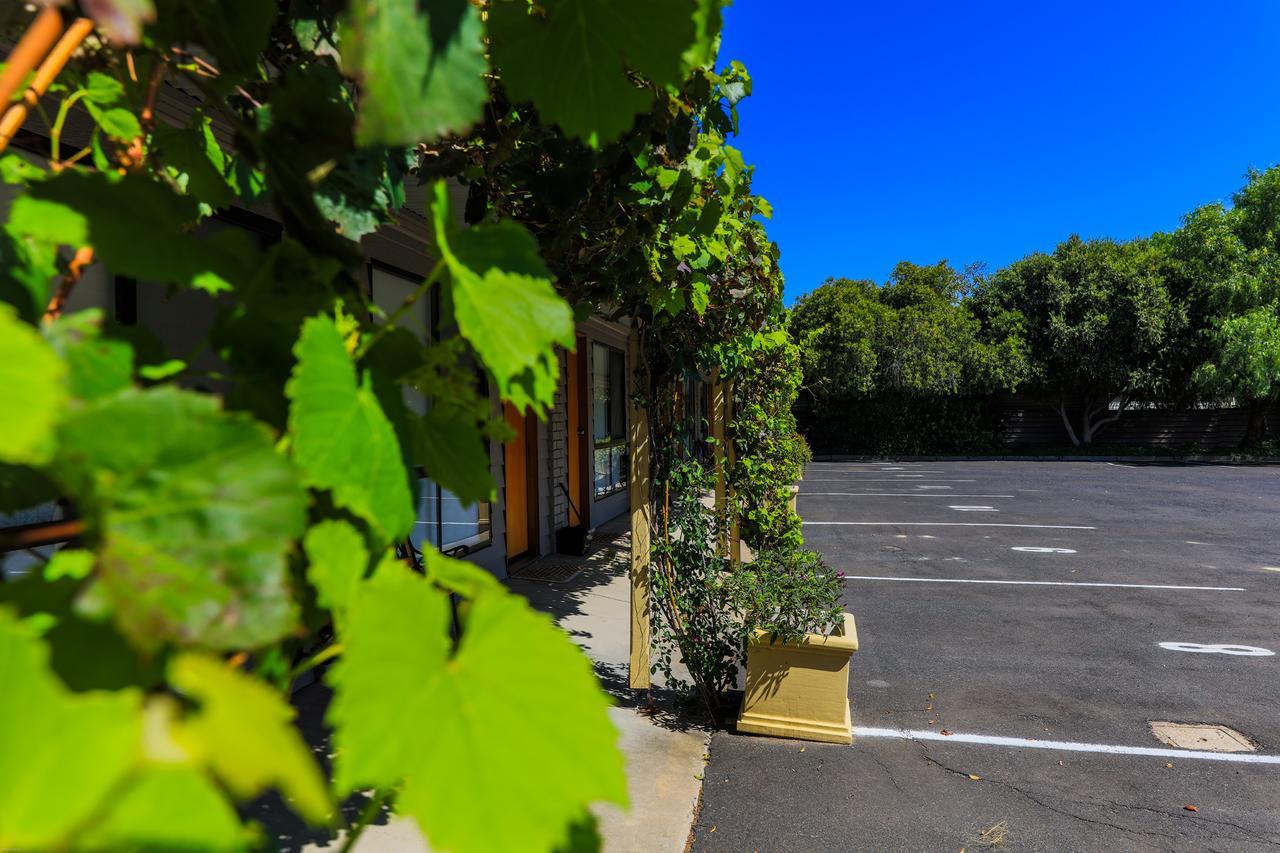 Country Roads Motor Inn Наракорт Екстериор снимка